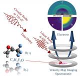 用 X 射线激光探索手性