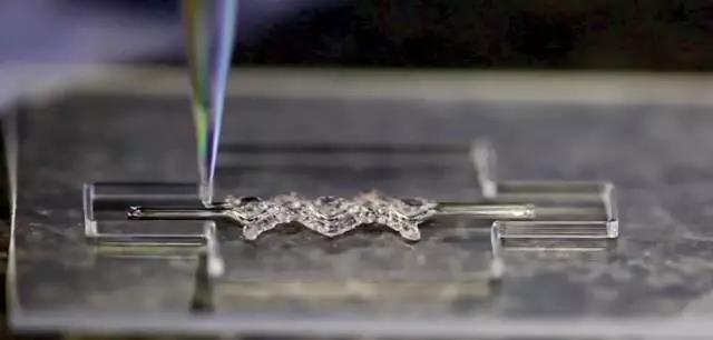 未来3D打印技术在生物工程领域的五大应用