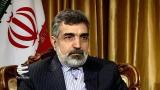 伊朗原子能组织发言人：国际原子能机构不应破坏建设性进程