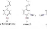 木质素单体的特定位点氧同位素分析