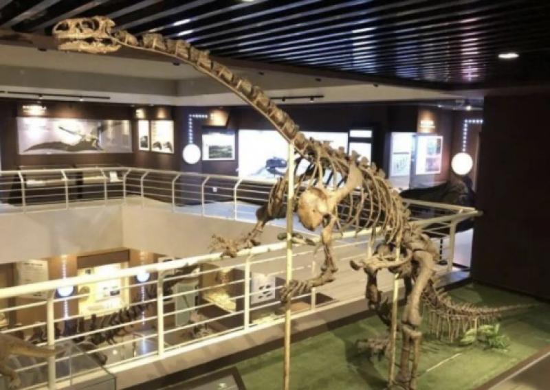 央视点赞！思看3D扫描+3D打印，带你重返侏罗纪