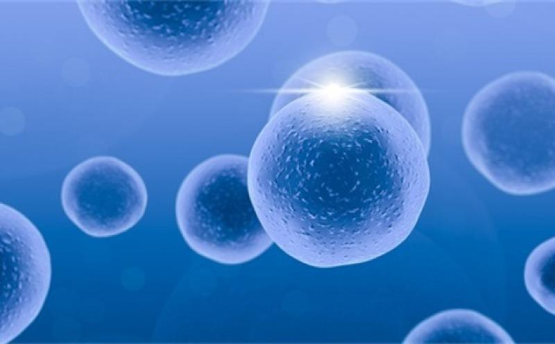 新的放射性示踪剂可以帮助我们了解心肌梗死后心脏是如何恢复的