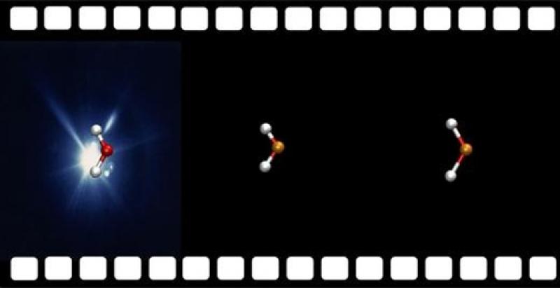 X射线激光揭示了辐射损伤是如何产生的