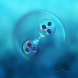 核物理 | 超级计算机预测出奇特的六夸克粒子