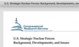 美国发表关于战略核力量的报告
