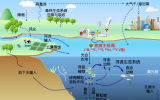 对福岛核废水排海的科学分析与风险反思