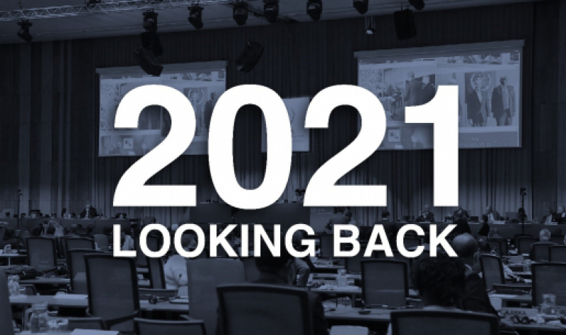 国际原子能机构（IAEA）的2021年总结