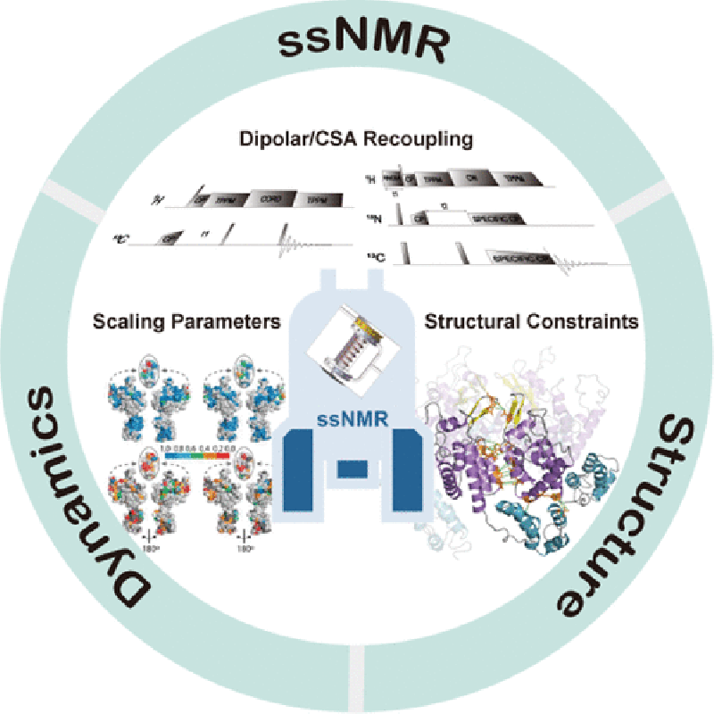 大连化物所发表固体核磁共振重耦技术及其应用综述论文
