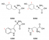 四种放射性同位素标记方法介绍
