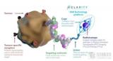 投身数百亿规模的核药市场，获得FDA指定，Clarity完成ASX史上最大的纯生物技术IPO