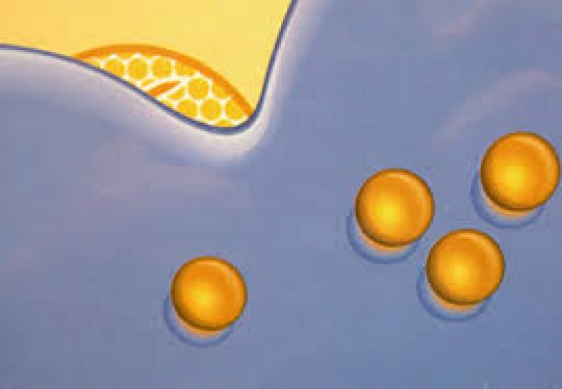 核级树脂行业受益于核电行业发展，未来市场前景不断向好