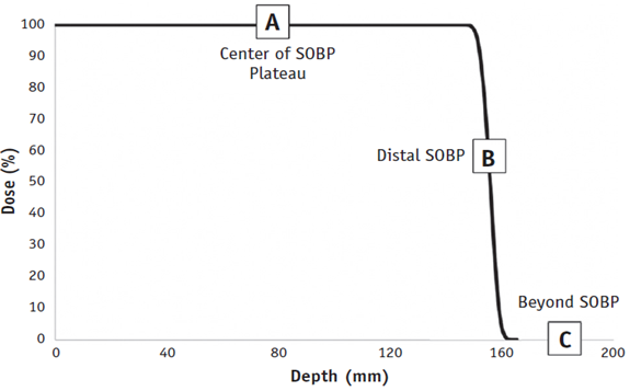 图1. 动物卵巢相对于质子SOBP的位置。