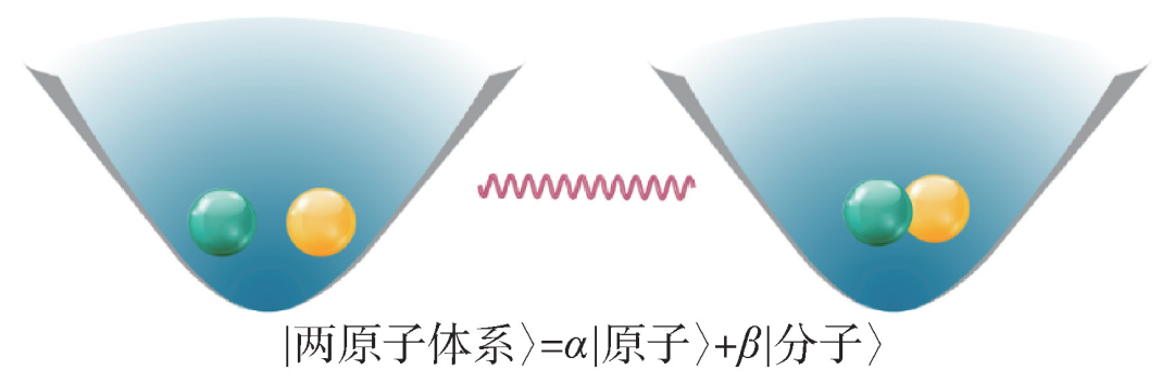 图3 在光阱中实现的处于相干叠加态的“原子—分子”体系示意图。圆球代表不同的原子，波浪线代表电磁场。右图代表分子，左图代表两个分开的原子，电磁场可使体系在两个原子与单个双原子分子之间产生拉比振荡
