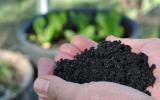 添加生物炭  有助土壤消毒后微生物恢复
