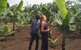 同位素技术如何用于发现干旱胁迫的香蕉作物并帮助拯救它们