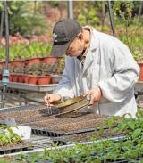 上过太空的种子为什么不一样，来看江山航天育种背后的故事