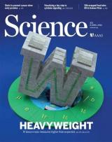 粒子物理学研究什么? W玻色子最新质量测量结果挑战标准模型?