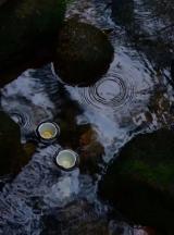 国内首个放射性核素标记PD-L1的显影剂获得FDA临床试验批准