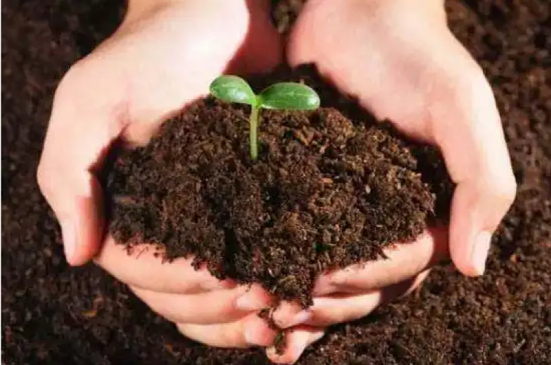 助力双碳目标实现 土壤有机碳氧同位素分析方法标准拟立项