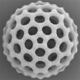 新一代飞秒激光器兼具实用性和精确性