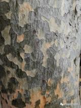 原子能院积极推进《医用同位素中长期发展规划(2021-2035年)》任务落实