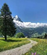 南华医院核医学科荣获重点专科立项