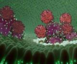 CAR-T疗法展示出对胃肠癌症的可靠活性