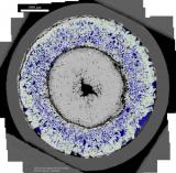 清洁能源未来的人工智能：研究人员使用机器学习进行高级燃料辐照材料改性开发