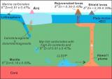 新研究揭示沉积碳酸盐俯冲进入下地幔，明显具有重的Zn同位素组成