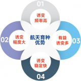 科普航天育种，经历太空之旅，“天选之种”何去何从 