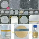 北京同步辐射1W2A小角实验站助力用户在有机凝胶领域取得新进展