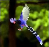 核医学科?到底是医啥子病的?