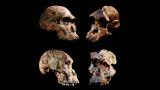 通过宇宙射线产生的极罕见的同位素宇宙源核素研究发现，“南方古猿”年龄或提早百万年