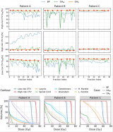 自适应质子治疗(五)：在线自适应质子放疗策略