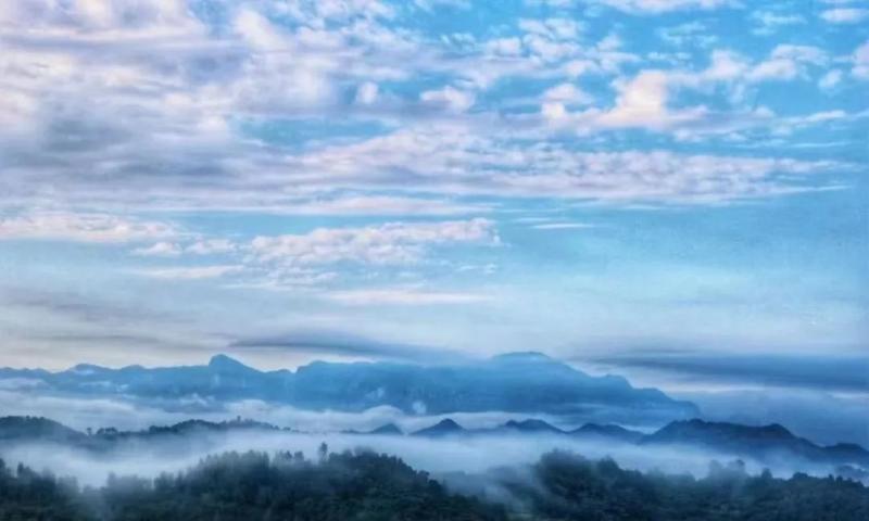 张宏教授 | 世界核医学与生物学联盟大会作特邀报告