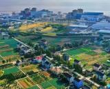 收获季，核能走势节节攀升