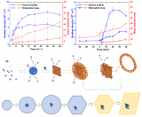 上海应物所高温镍基合金辐照效应研究取得重要进展