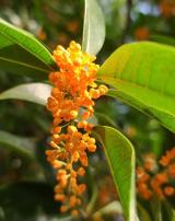 首都医科大学附属北京安贞医院核医学科多媒态分子影像研究再创佳绩