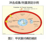  α粒子放射药物治疗的成像和剂量测定：通过观察黑盒改进放射性药物治疗