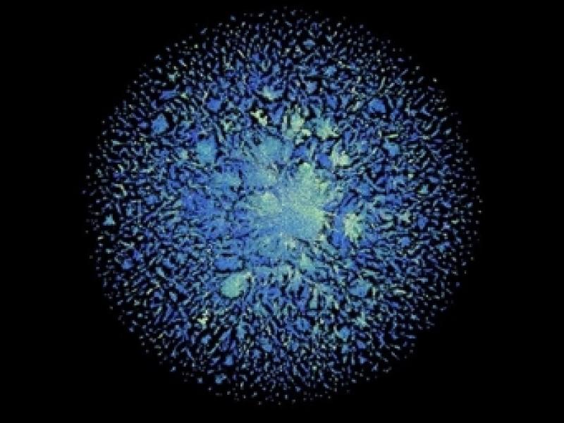 希格斯玻色子的碳足迹是多少？