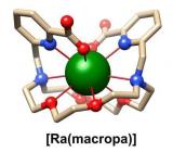 镭螯合剂研究人员致力于改进靶向癌症疗法
