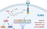 CHK1/FLT3双靶向抑制剂的概念验证与候选药物发现