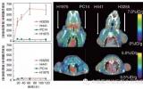 分子影像学 | 肺癌分子成像探针构建和成像