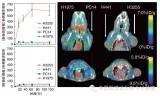 分子影像学 | 肺癌分子成像探针构建和成像