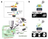 生物物理研究所研制精准光电联用系统用于生物样品原位研究