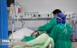伊朗称每年有100万患者使用其国产放射性药物进行治疗