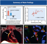 研究：使用SST2靶向放射性示踪剂对大血管炎（LVV）患者进行诊断和治疗监测