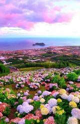 承接国家医用同位素规划 四川聚力推动产业高质量发展