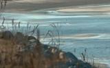 美国科德角湾居民抵制霍尔台克倾倒核废水