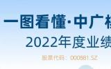 一图看懂中广核技（000881.SZ）2022年度业绩